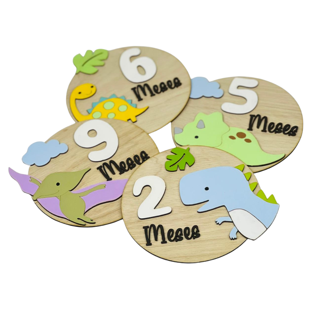 Letreros de Cumplemes – Niño con Dinosaurios (12 piezas)