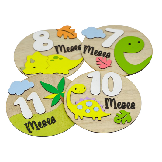 Letreros de Cumplemes – Niño con Dinosaurios (12 piezas)