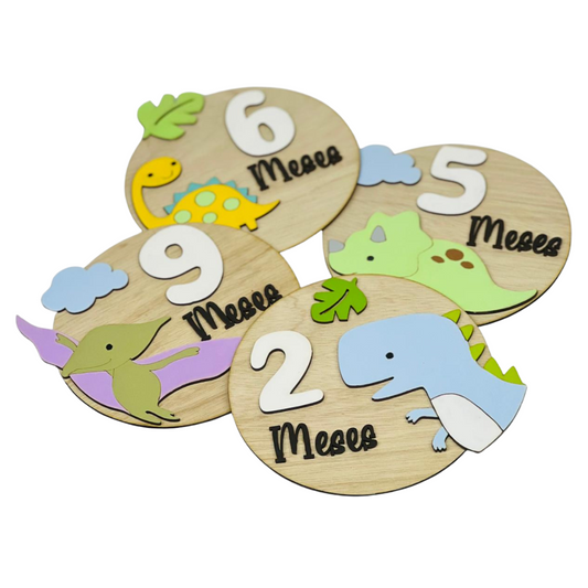 Letreros de Cumplemes – Niño con Dinosaurios (12 piezas)